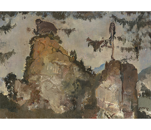 展示图组