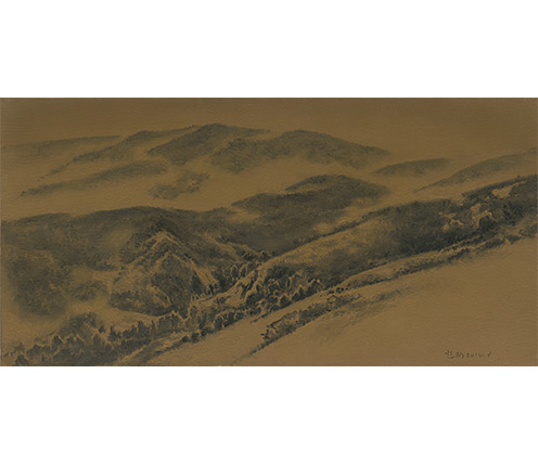 展示图组